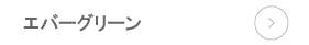 エバーグリーン