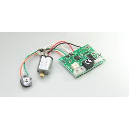 lt011.jpg