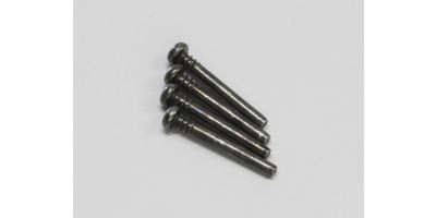 Screw Pin (3x25mm/4pcs) 97039-25