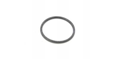 Back Plate O-ring S09-130010