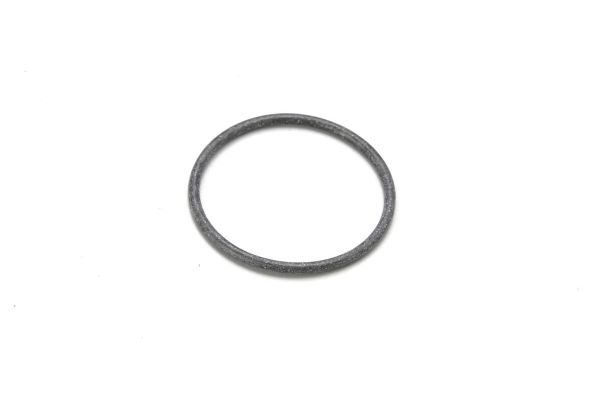 Back Plate O-ring S09-130010