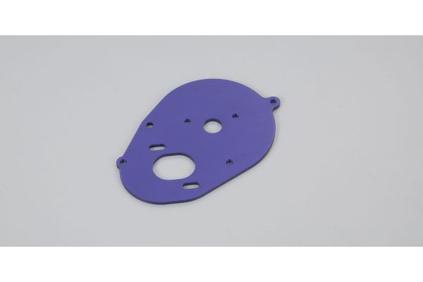 Motor Plate UM312