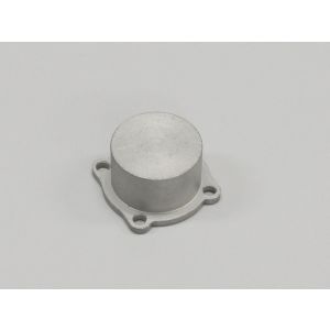 GX25 Back Plate 74225-08