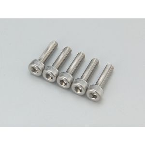 Stainless Cap Screw(M3x12) 96205