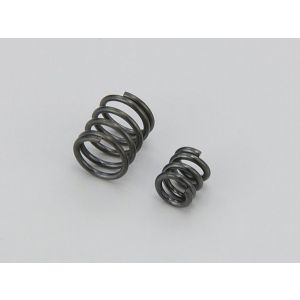 Slipper & Servo Saver Spring Set(Mini In IH111