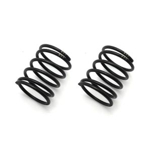 スプリング(φ1.4x3.375x20/2.7/2pcs) W5307-30B