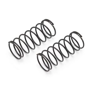 Big Bore Spring(L=44/3.55/2pcs) W5309-36