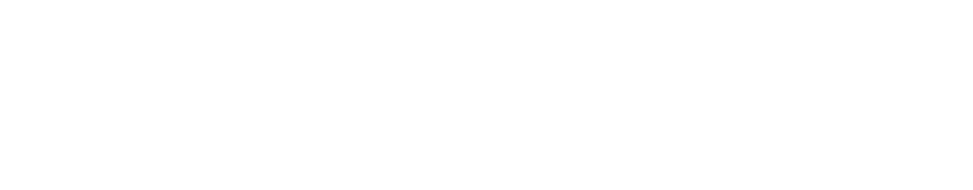 KT-231P+ TRANSMITTER [Syncro FHSS]