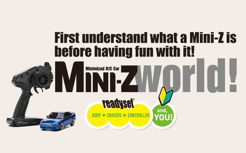 Mini-Z world