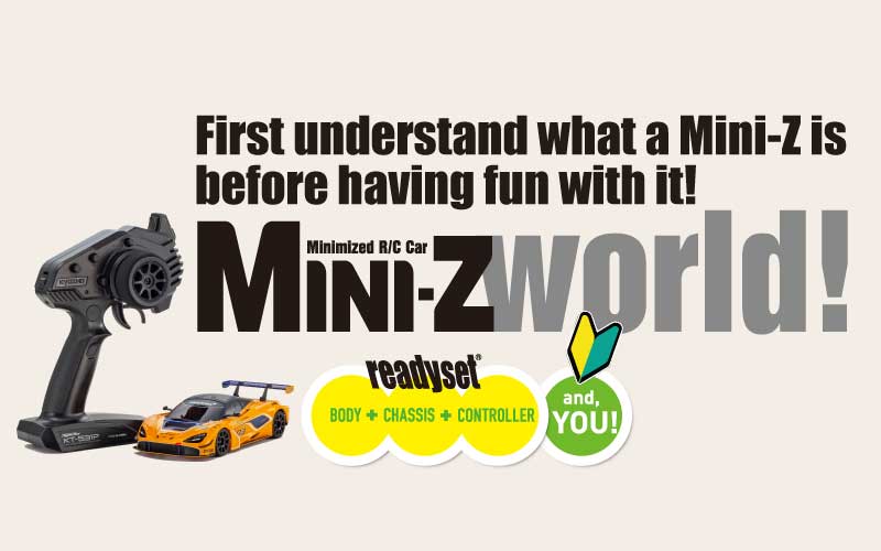 Mini-Z world